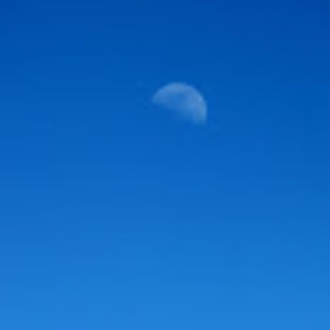 Meet your Posher, Mia